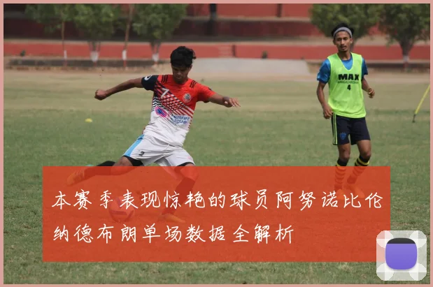 本赛季表现惊艳的球员阿努诺比伦纳德布朗单场数据全解析