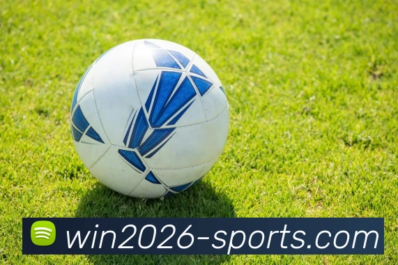 2026世界杯投注官网APP 封面图